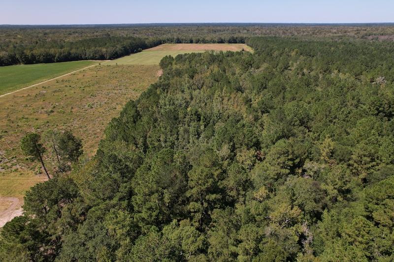 Evergreen, NC 39.7 acres Land and Farms Realty